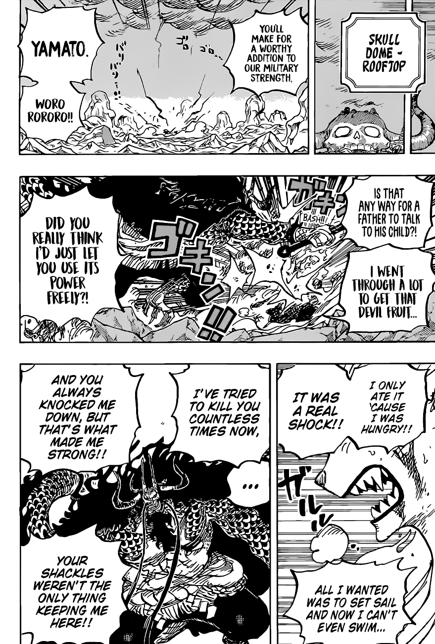 One Piece Chapter 1019 15